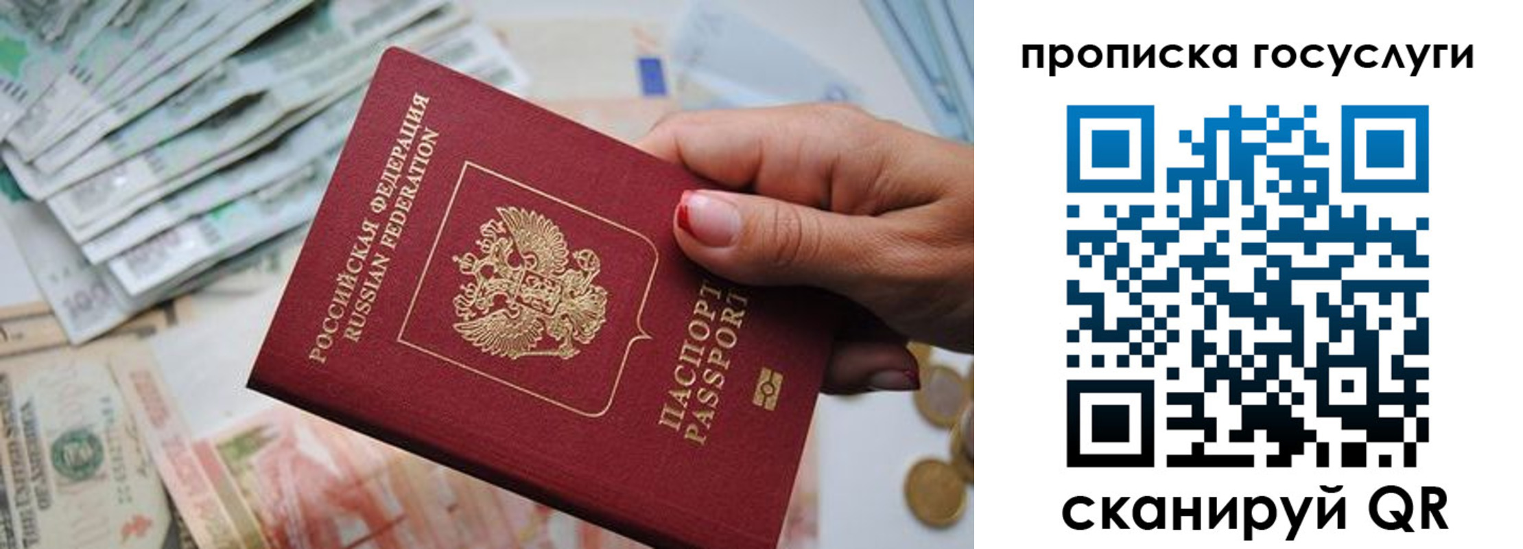 прописка поиск в Гвардейске